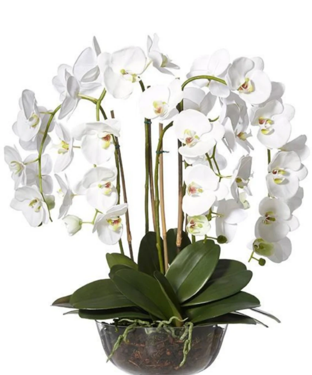 As Orquídeas – Itaim Flores