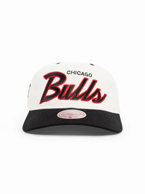 Milwaukee Bucks Team Script Golfer NBA Snapback Hat – Basketball Jersey  World
