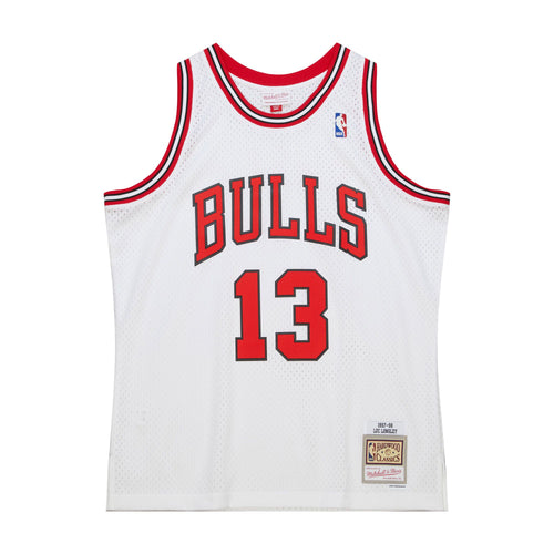 Derrick Rose Chicago Bulls Hardwood Classics Throwback NBA Swingman Je –  Basketball Jersey World