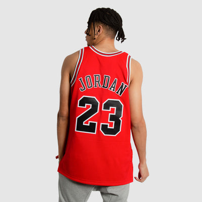 Michael Jordan Chicago Bulls Alternate 1995-96 Authentic Hardwood
