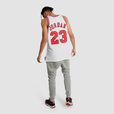 Chicago Bulls Authentic Mitchell & Ness Michael Jordan 1995-96 Jersey –  Official Chicago Bulls Store