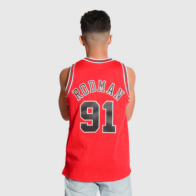 Mitchell & Ness Dennis Rodman Chicago Bulls Men's 1995 Black Pinstriped  Swingman Jersey