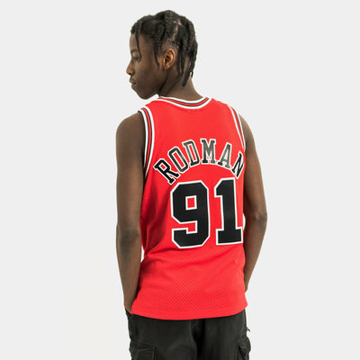 Mitchell & Ness Men's Chicago Bulls Dennis Rodman Pinstripe Swingman Jersey