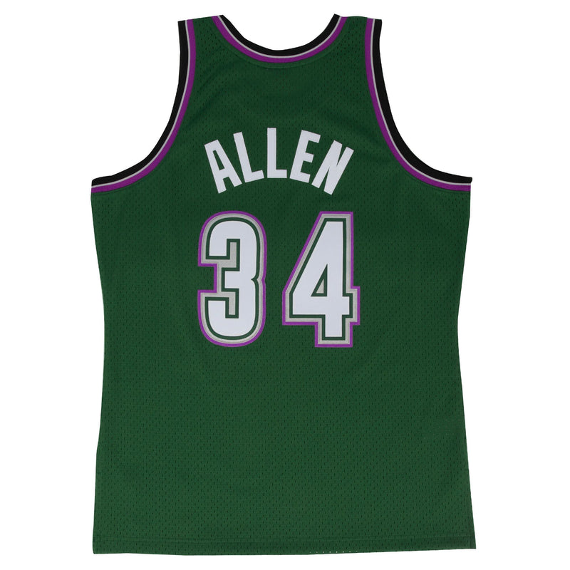 ray allen signed jersey