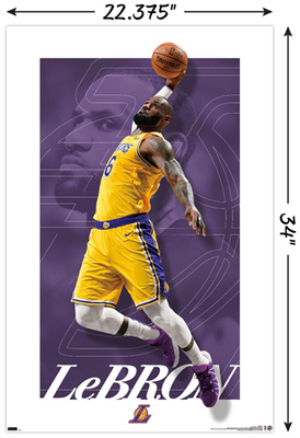 Giannis Antetokounmpo Power Slam Milwaukee Bucks Official NBA Basket –  Sports Poster Warehouse