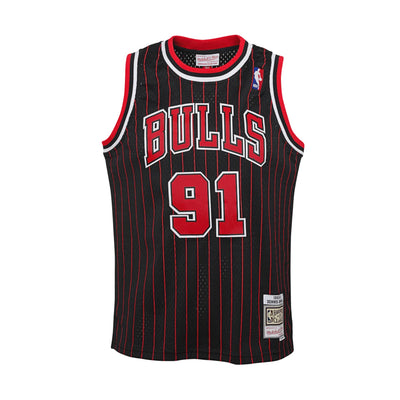 Dennis Rodman Chicago Bulls HWC Youth NBA Swingman Jersey – Basketball  Jersey World