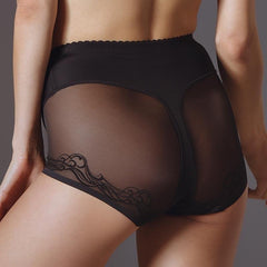 Sexy SHeer High Waist Brief Plus Size Panty Lavinia Lingerie Mia