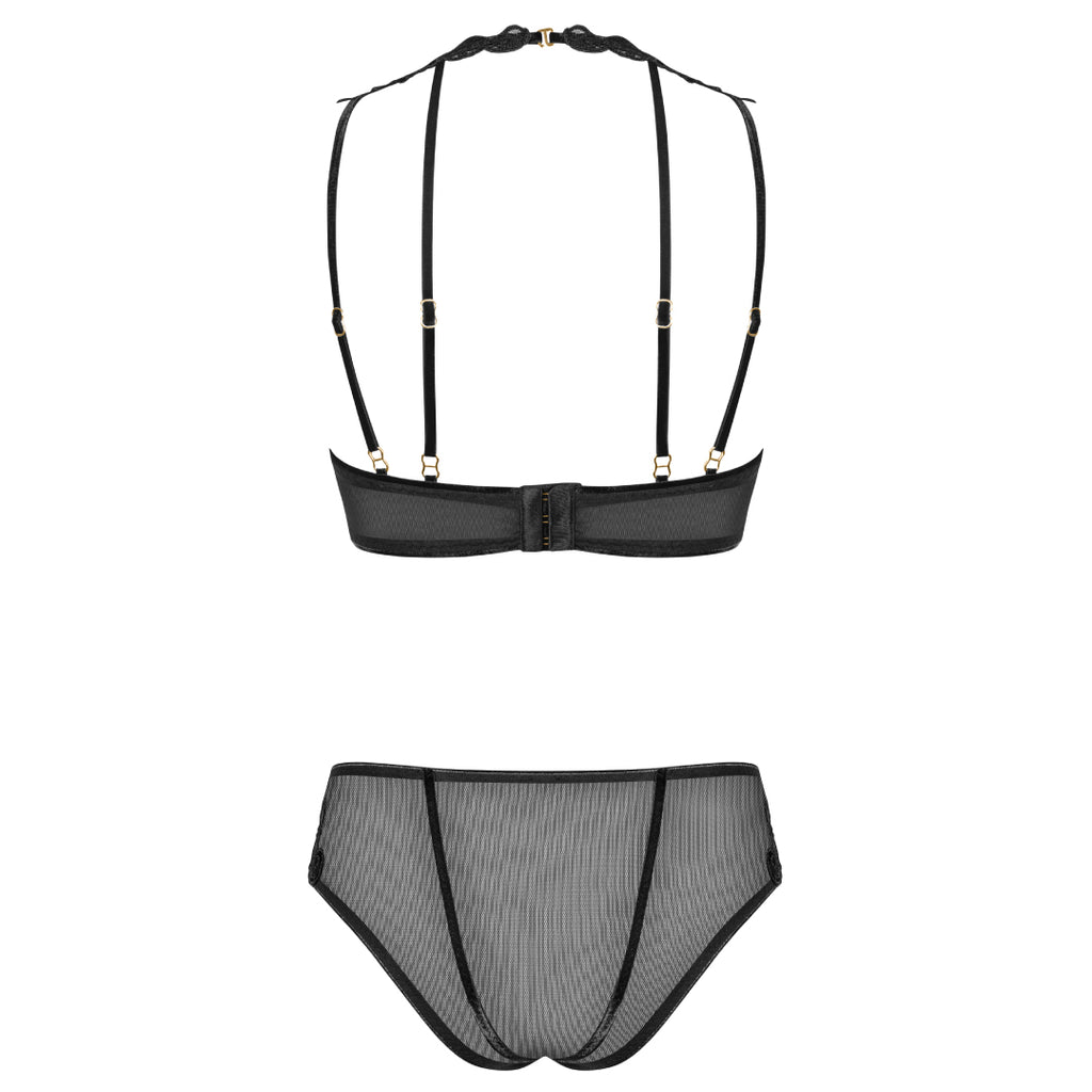 Sexy Sheer Demi Bra And Mesh Bikini Panty Set Majesty Lavinia Lingerie