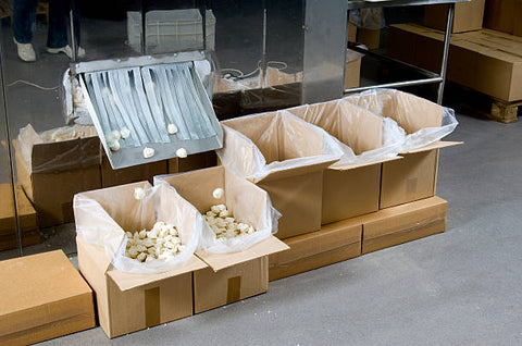 Dumpling packaging process