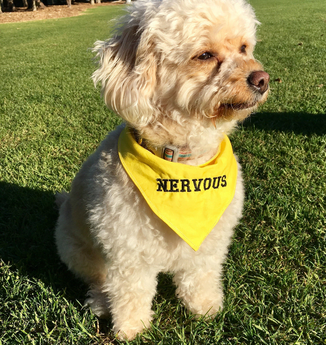 orange dog bandana