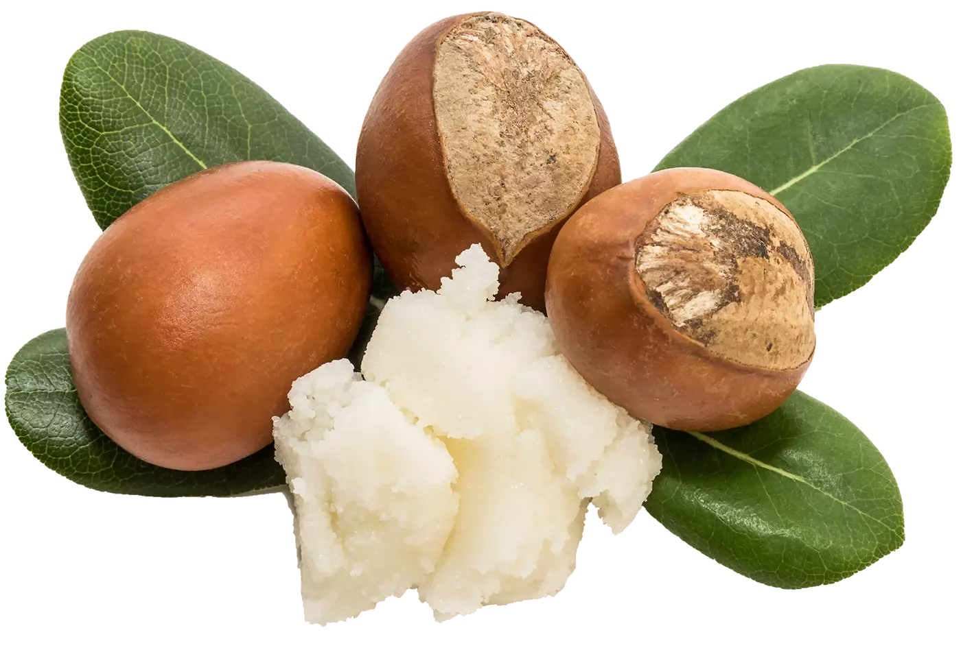 shea-butter__PID:b7a55a0e-71a3-4ce4-9851-2dc1126bc621