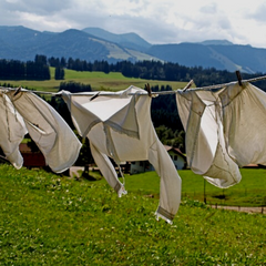 Change Laundry Detergent If You Use These Brands!