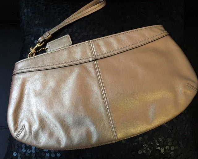 large clutch purse