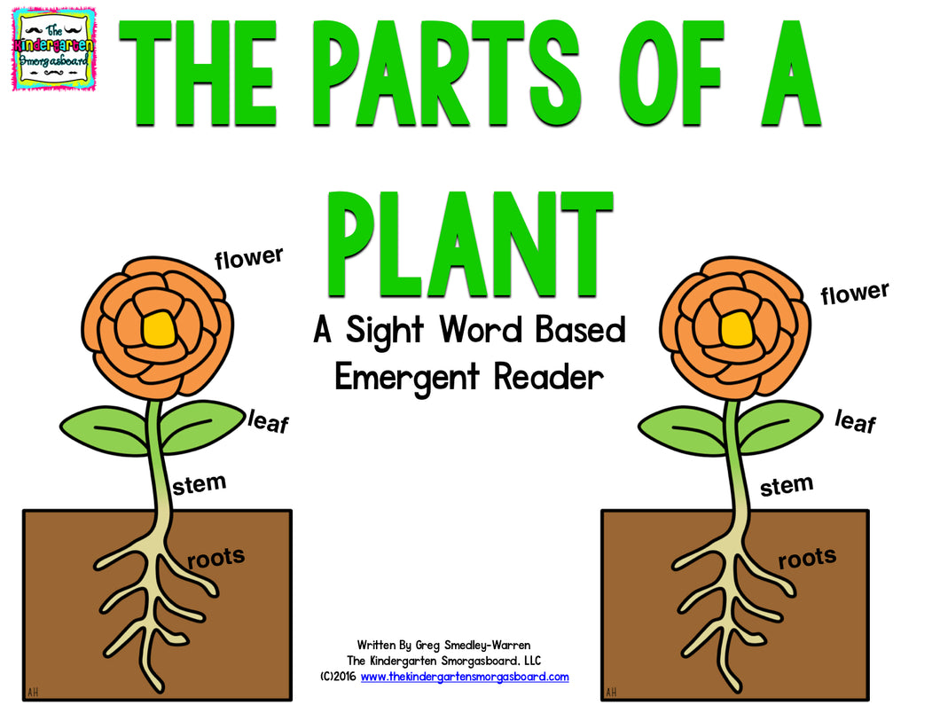 plant parts for kindergarten