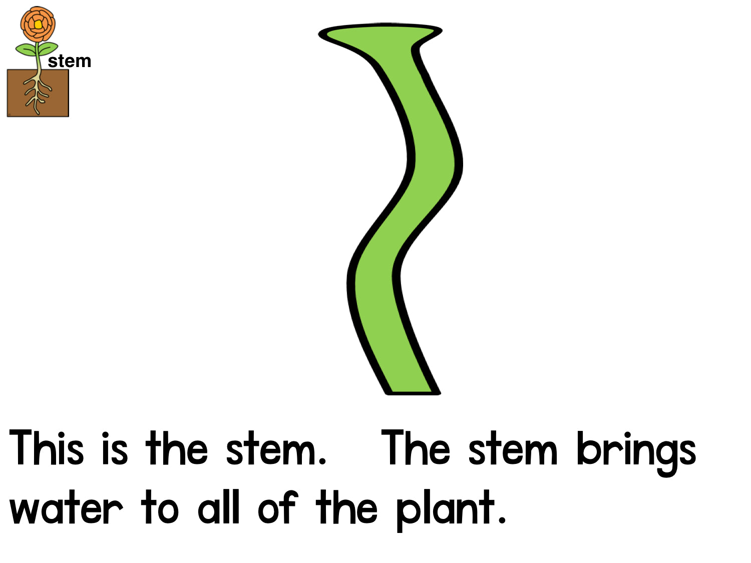 read-about-plant-parts-basic-science-for-kids-grades-k-2-pdf