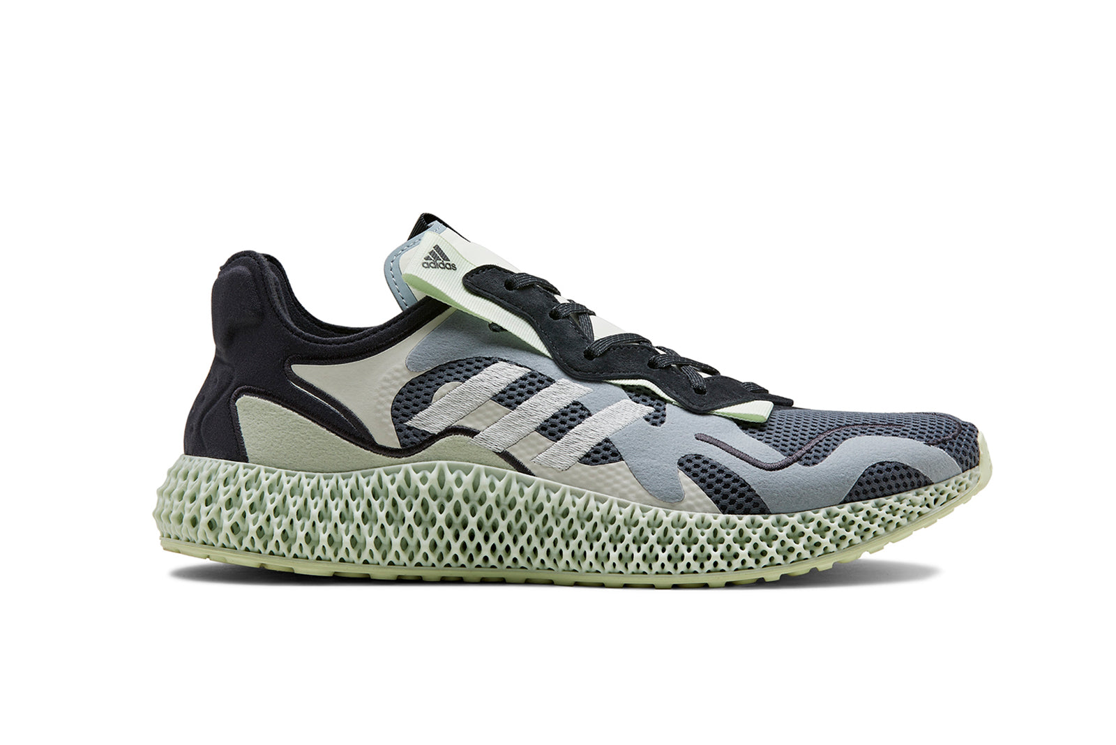 consortium evo 4d