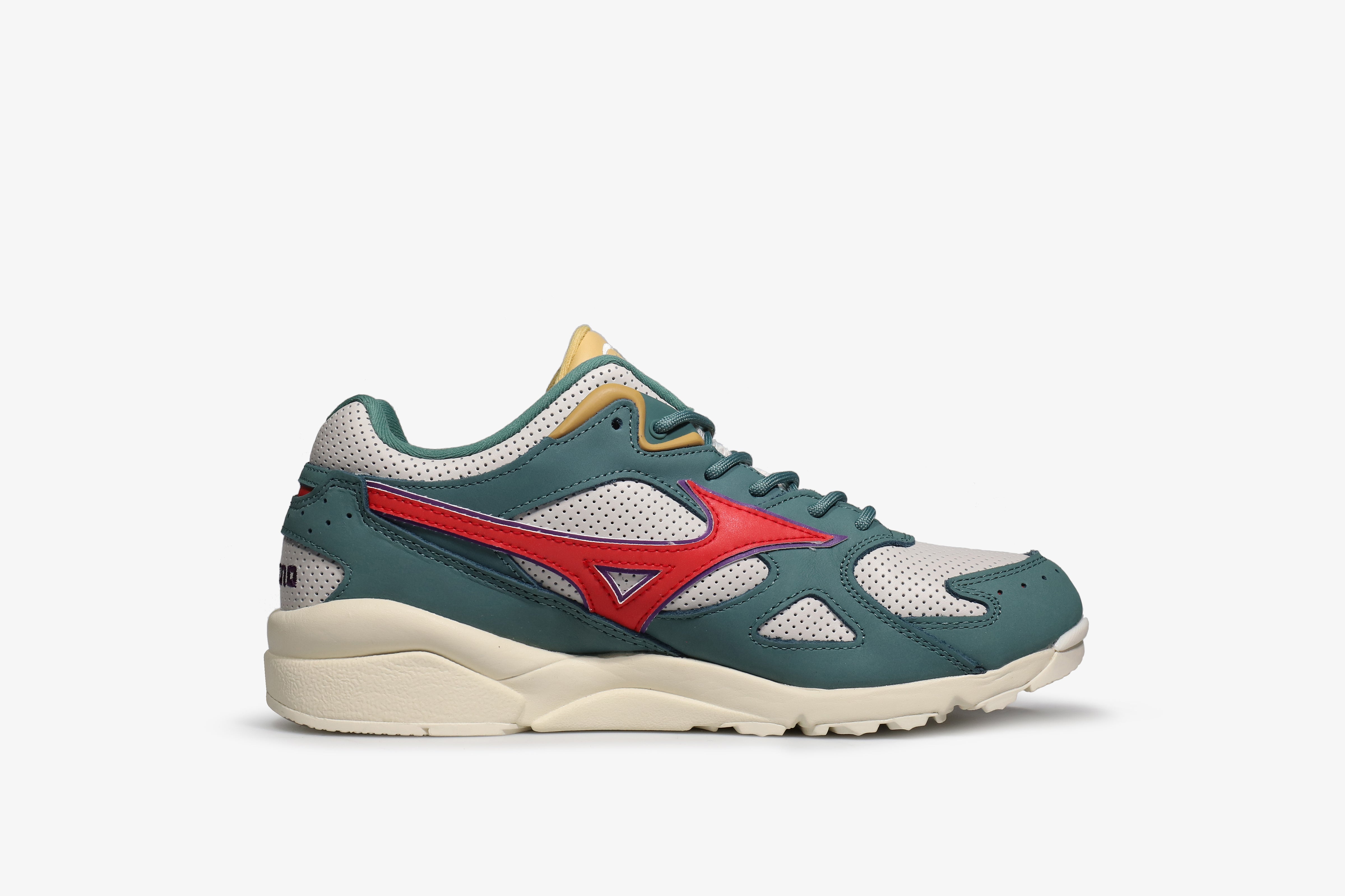 modele 65854846 Mizuno Morelia Wave homme