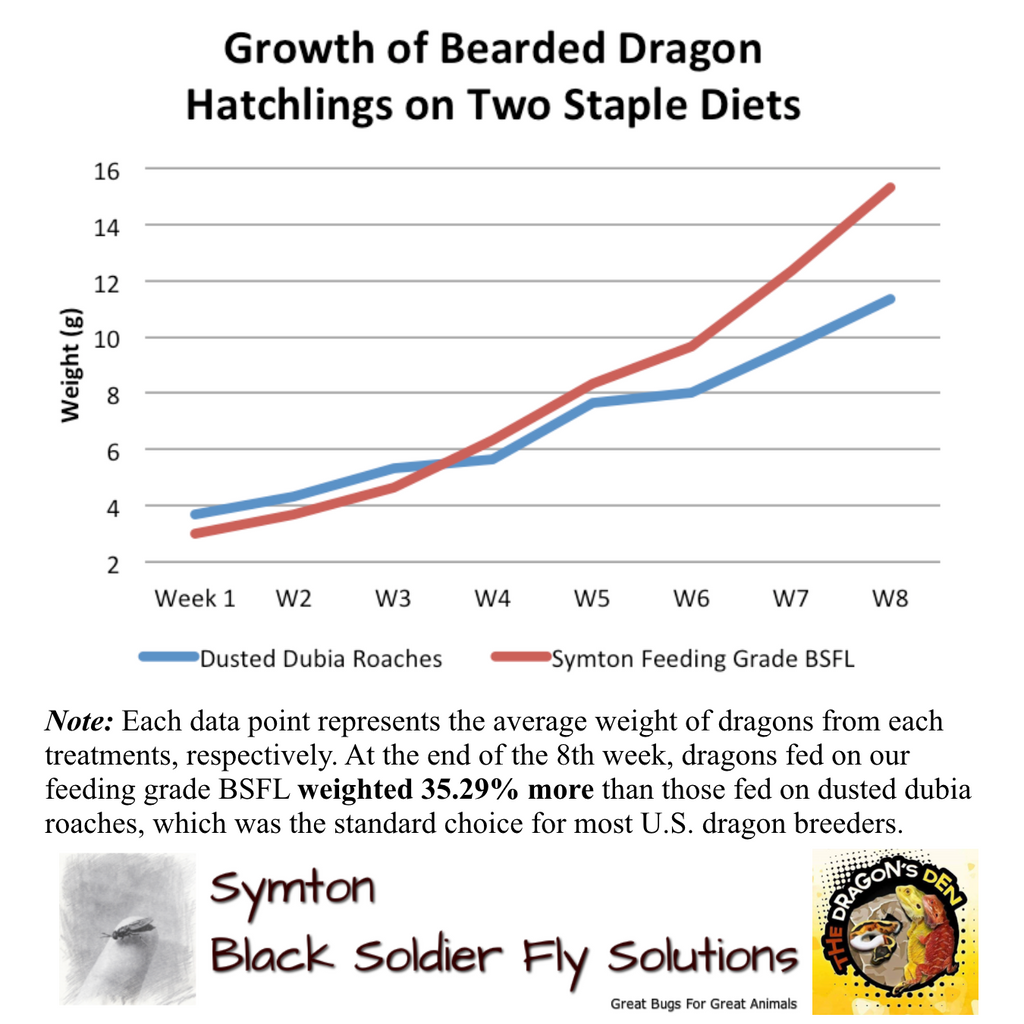 Bearded Dragon Age Chart