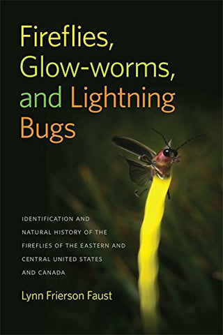 download glow worms and fireflies