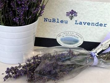 Dried Lavender Bundles