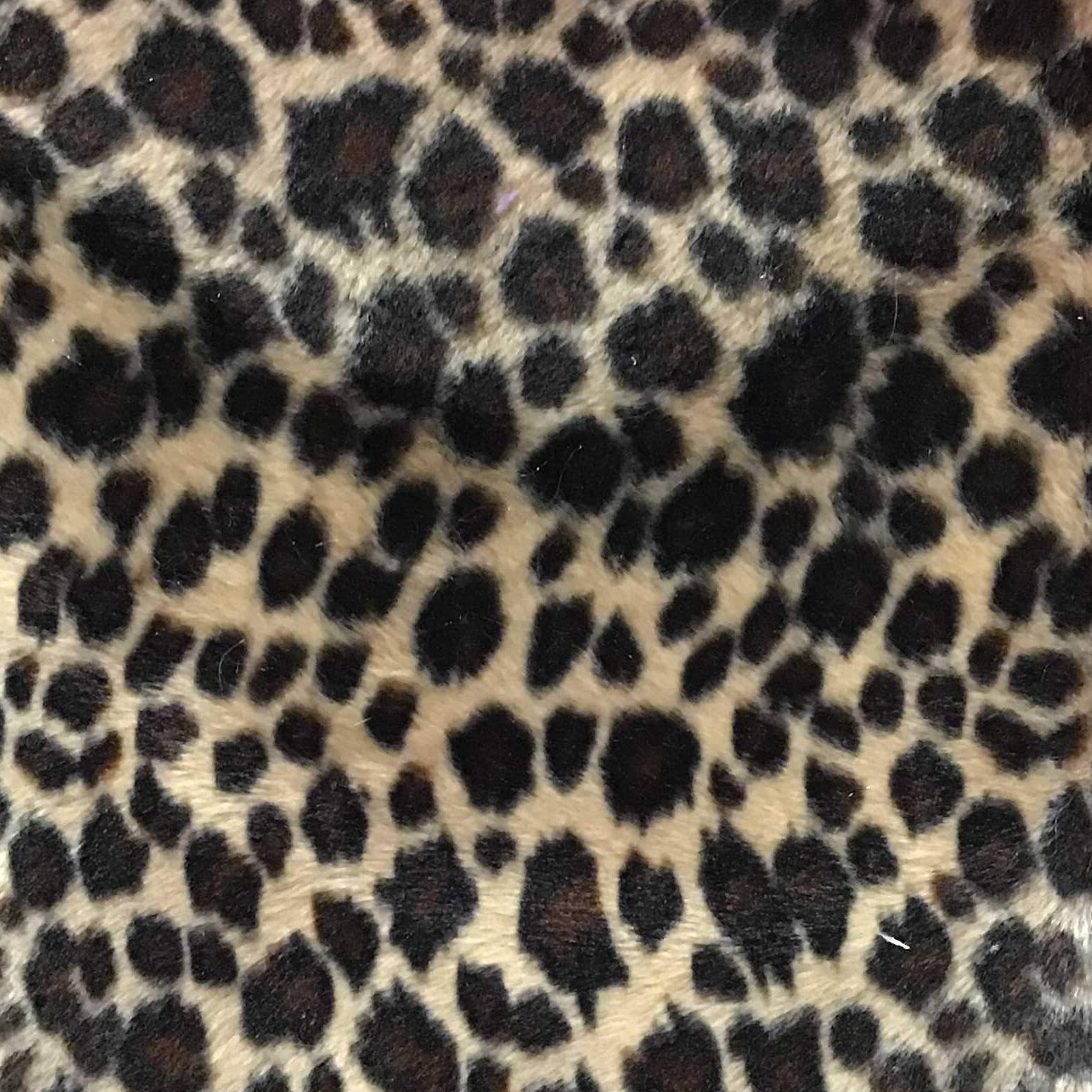 Baby Cheetah Beige Velboa Fur Cheetah Animal Short Pile Fabric | iFabric