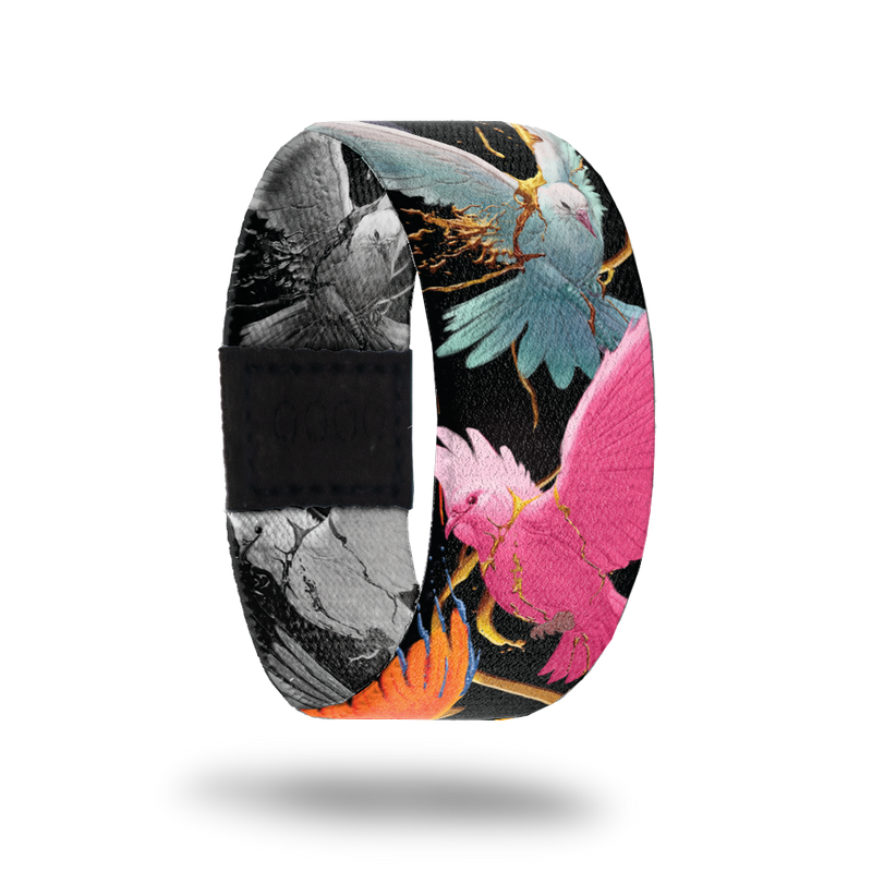 Outside Design of Excelsior: black background with bright colored birds and branches