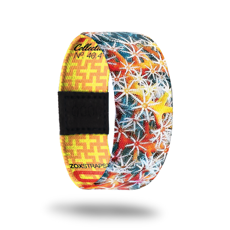 Orange Tree-Sold Out-ZOX - This item is sold out and will not be restocked.
