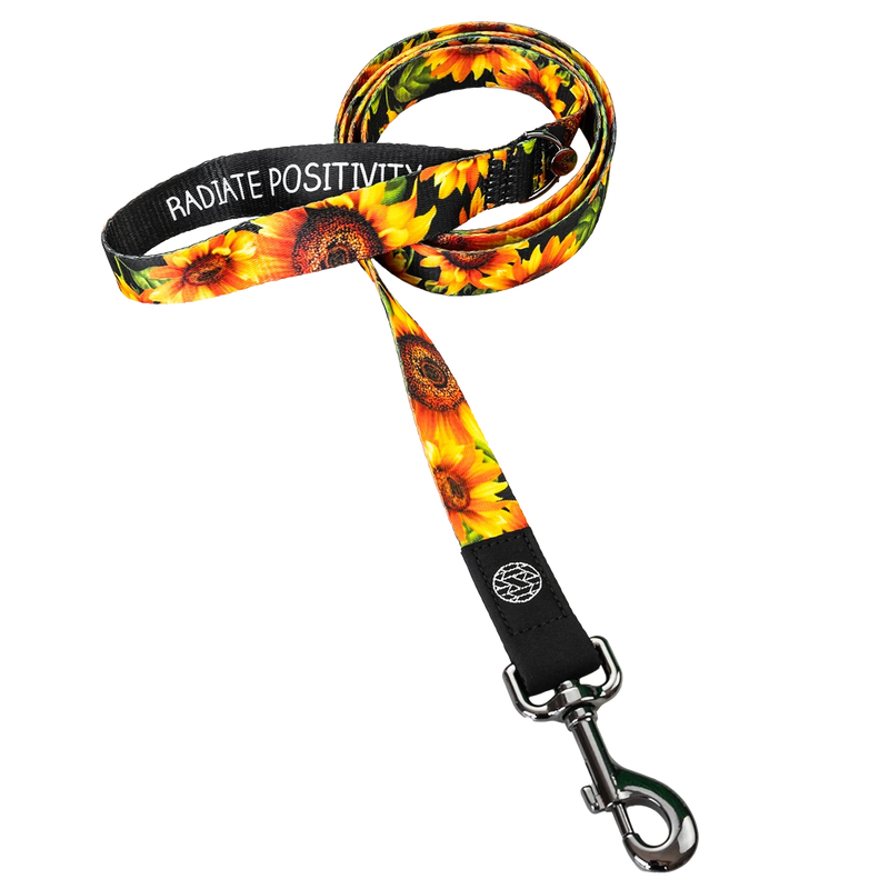 Dog Leash with black base and bright yellow sunflowers all over. The loop handle reads Radiate Positivity. Comes with a metal pull-hook clip. 