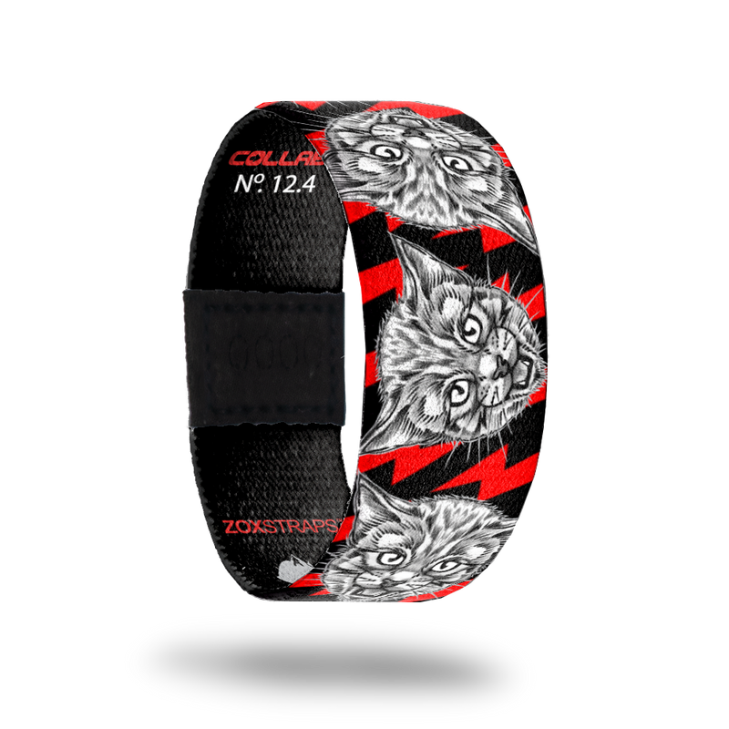 Rawwwr-Sold Out-ZOX - This item is sold out and will not be restocked.