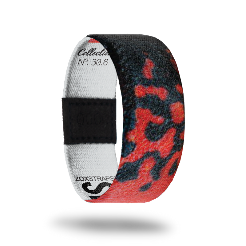 Silverstonei-Sold Out-ZOX - This item is sold out and will not be restocked.