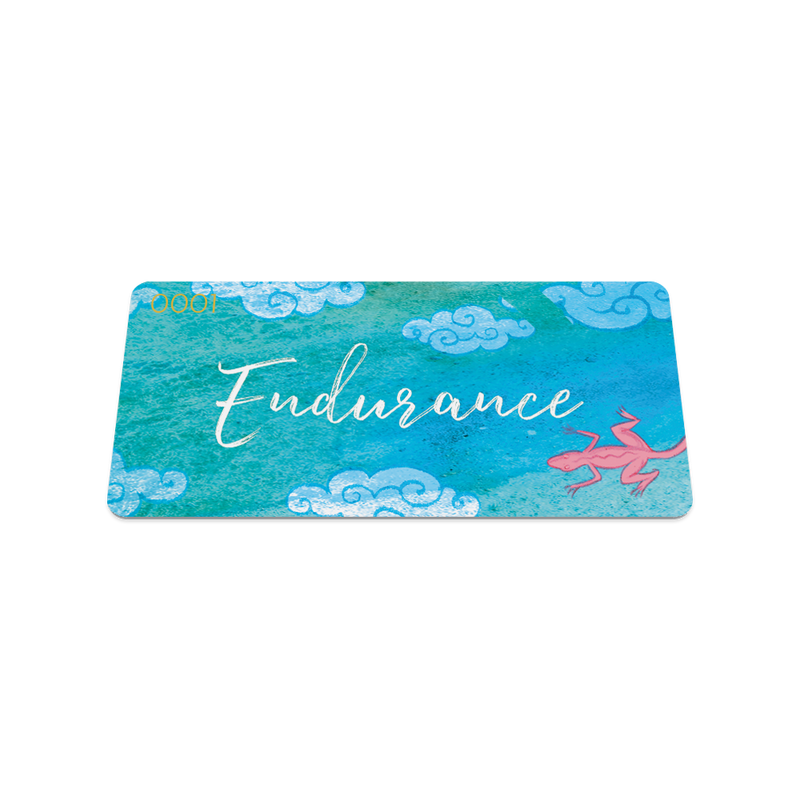 Endurance-Sold Out-ZOX - This item is sold out and will not be restocked.
