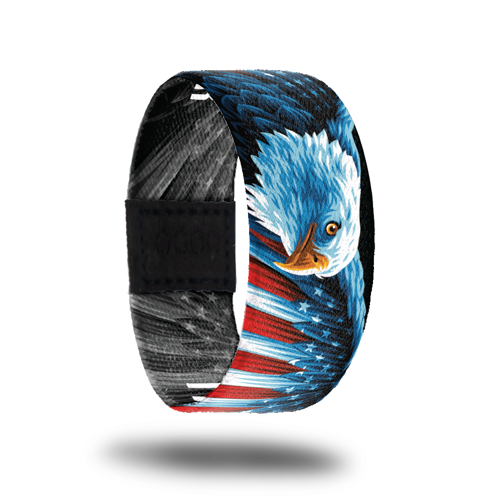 Outside design of I Do Solemnly Swear. Colorful illustration of bald eagle with the colors and pattern of the United States flag on it's wing