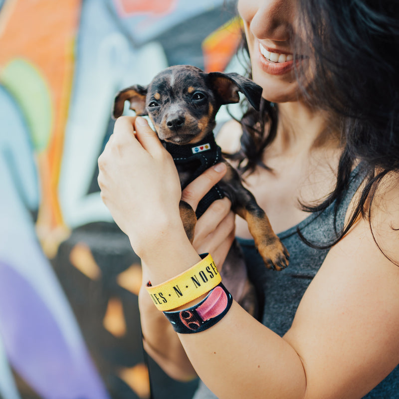 Tongues N Noses-Sold Out-ZOX - This item is sold out and will not be restocked.