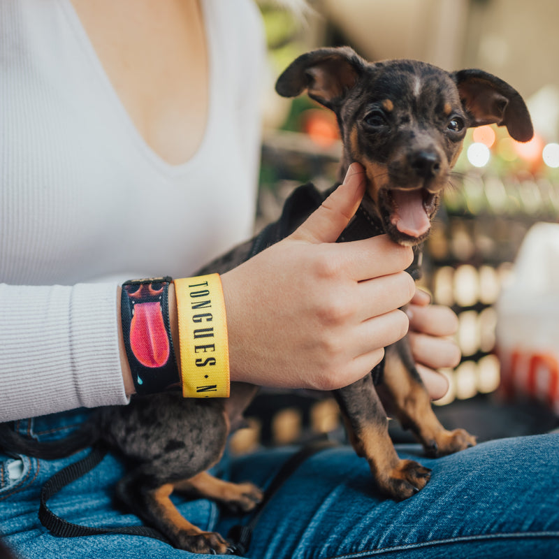 Tongues N Noses-Sold Out-ZOX - This item is sold out and will not be restocked.