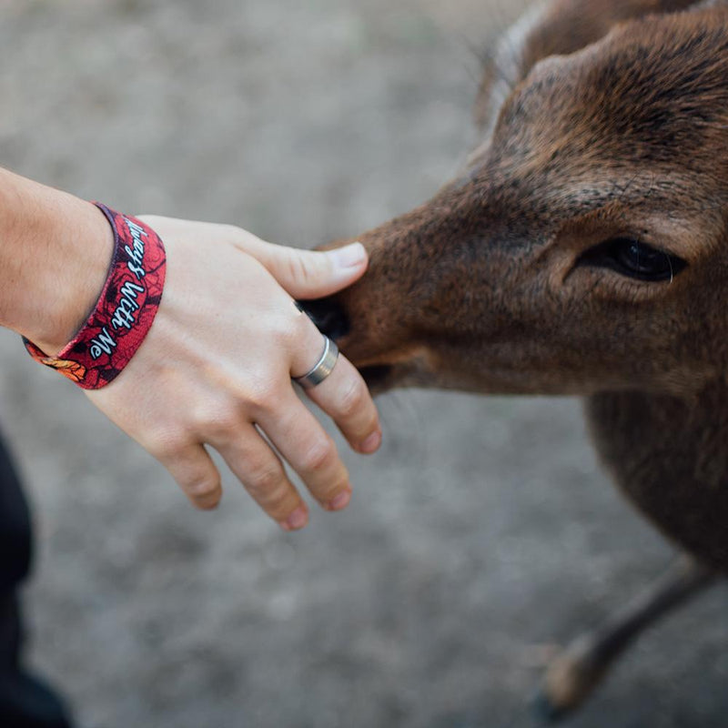 Always With Me-Sold Out-ZOX - This item is sold out and will not be restocked.