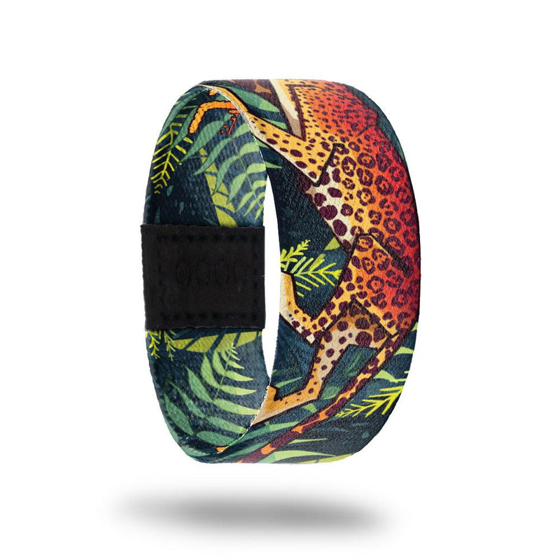 Nightfall-Sold Out-ZOX - This item is sold out and will not be restocked.