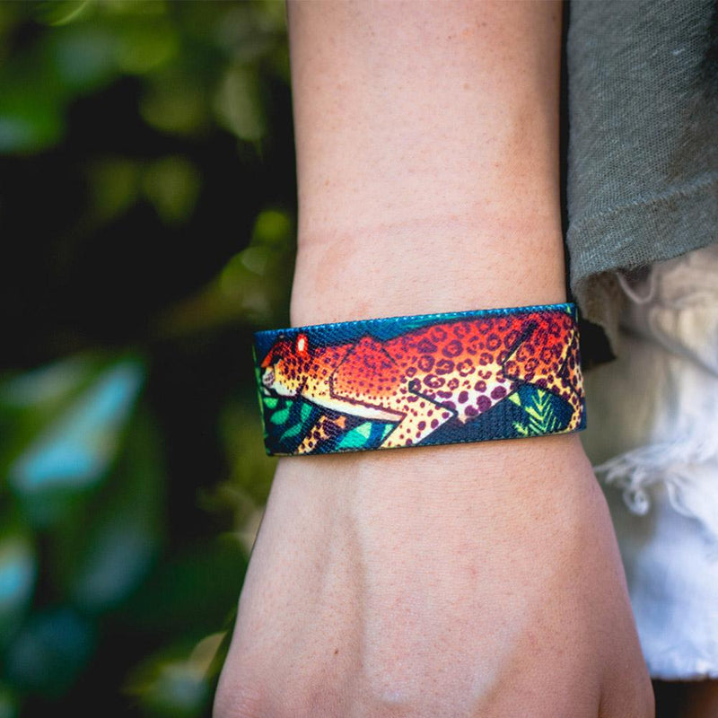 Nightfall-Sold Out-ZOX - This item is sold out and will not be restocked.