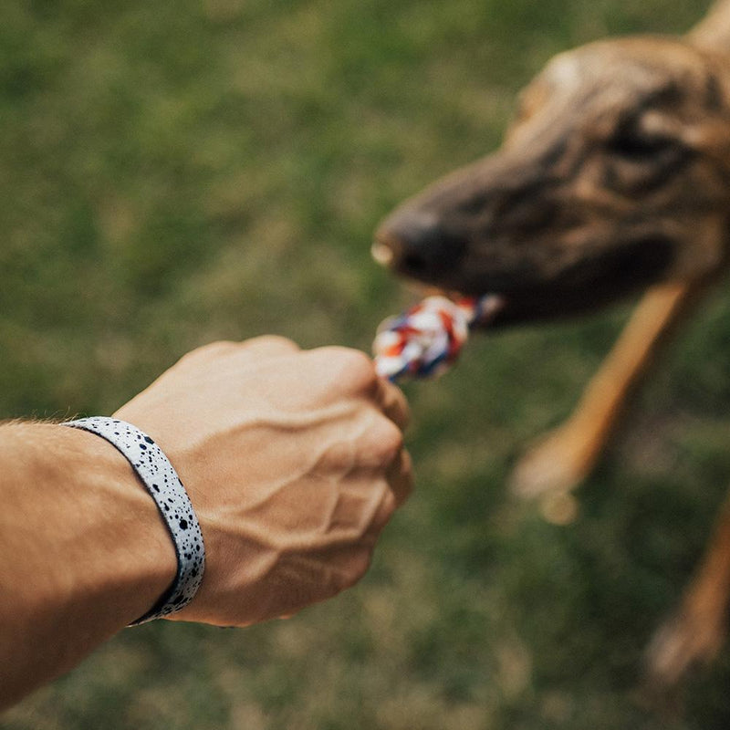 Lifestyle image of hand playing tug of war with a dog while wearing Practice Makes Perfect