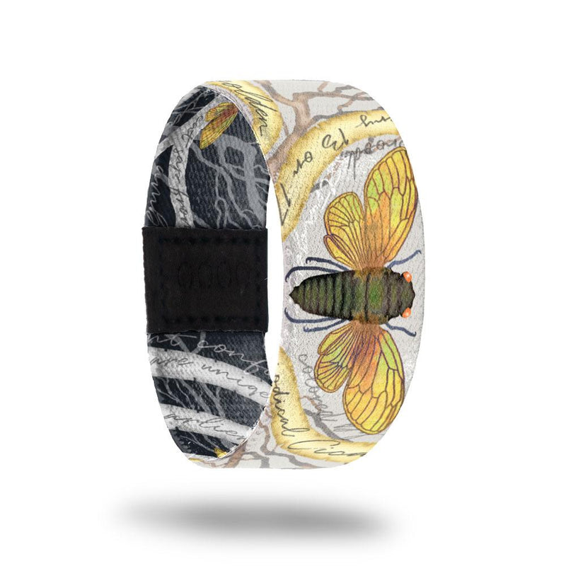 Straggler-Sold Out-ZOX - This item is sold out and will not be restocked.