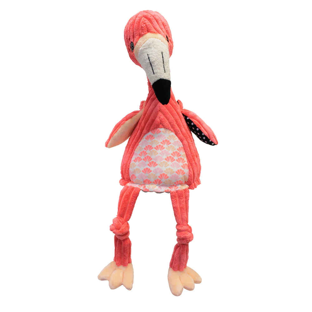 Flamingos the Flamingo