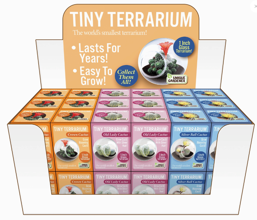 Tiny Terrarium Cactus