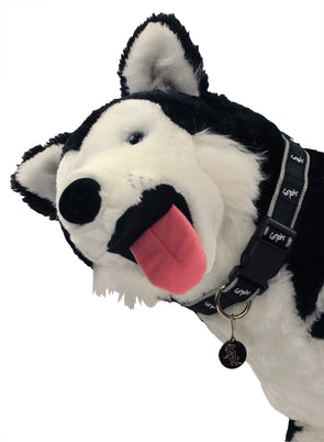 Official Chicago White Sox Pet Gear, White Sox Collars, Leashes