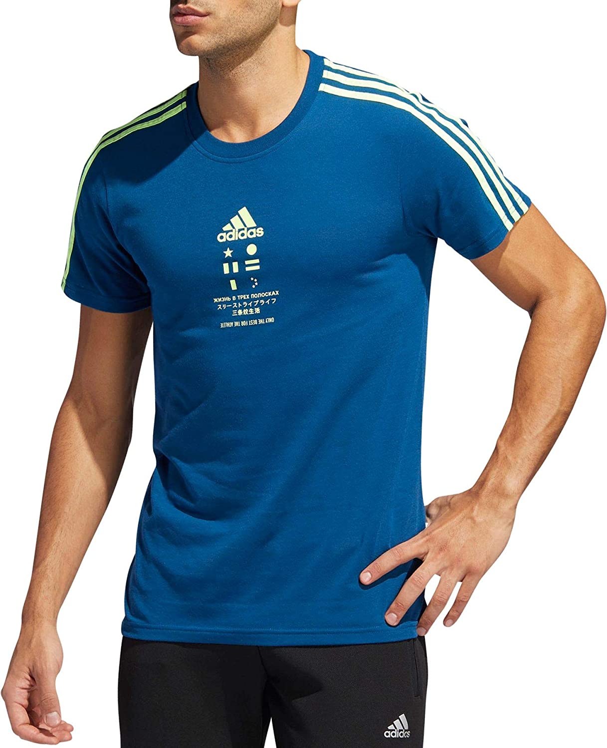 adidas Men's International Classic T-Shirt, Legend Marine/Ye –