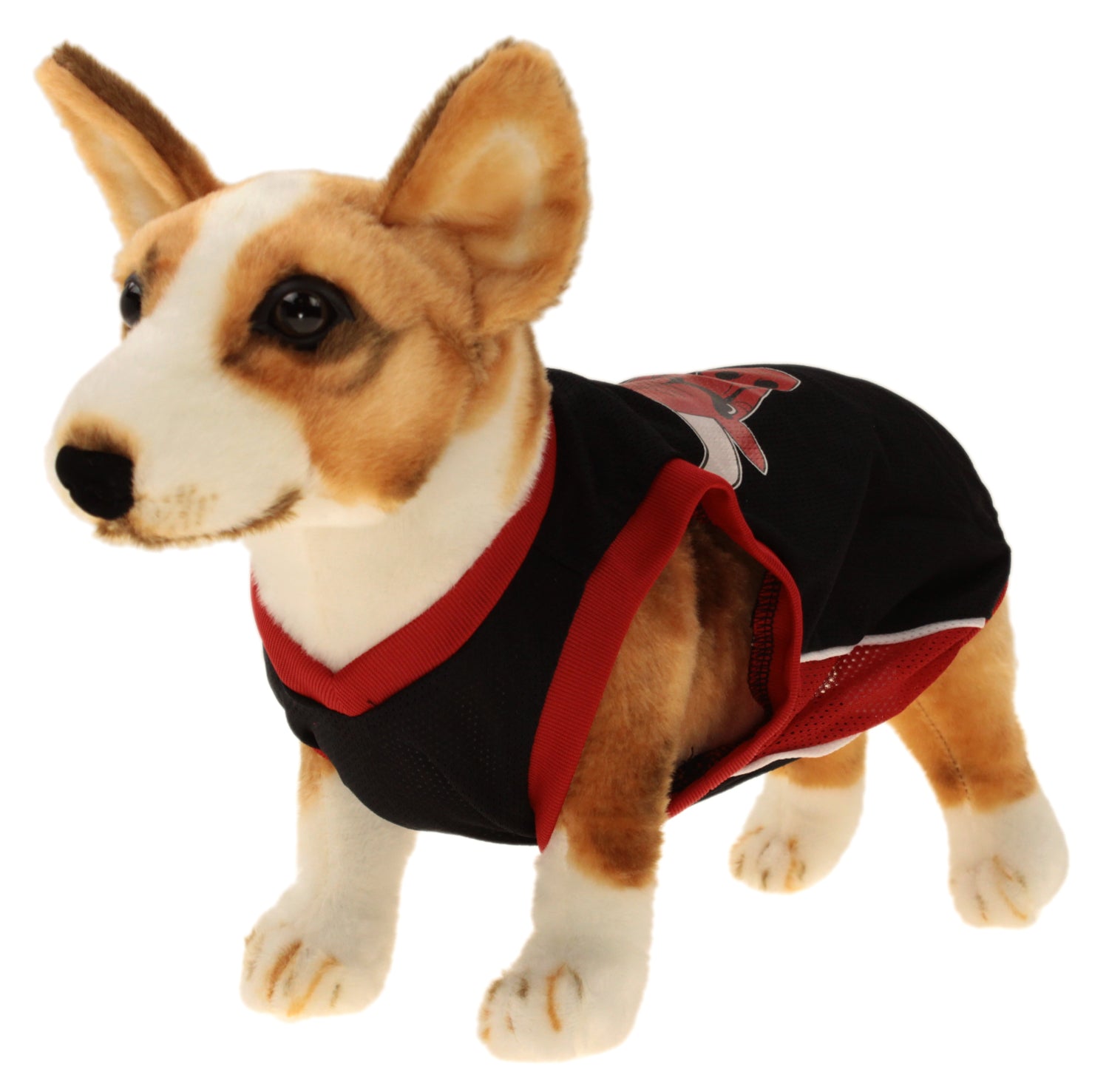 chicago bulls dog jersey