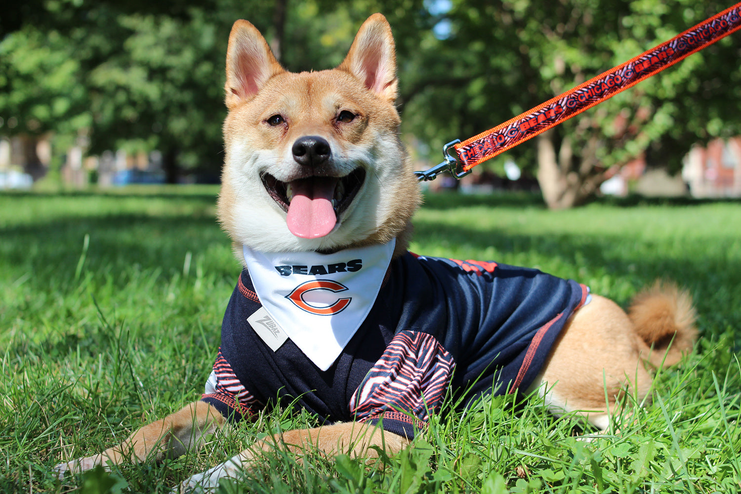 Pets First Chicago Bears Reversible Dog Collar, Medium