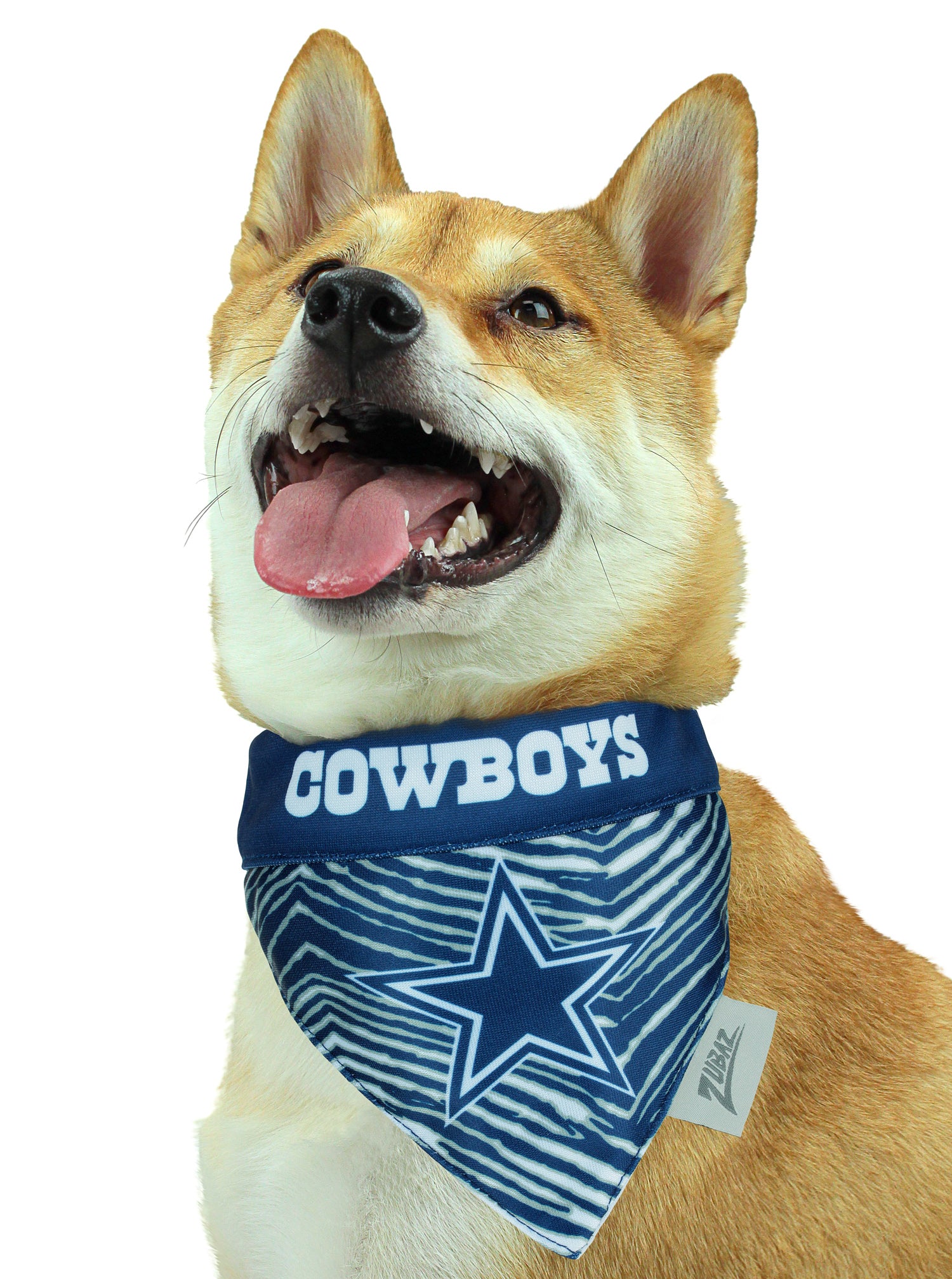 DALLAS COWBOYS HOME & AWAY PET BANDANA SET – JR'S SPORTS