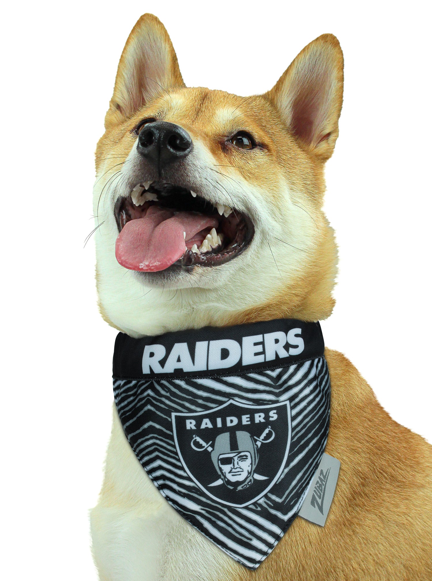 Las Vegas Raiders Running Dog Costume