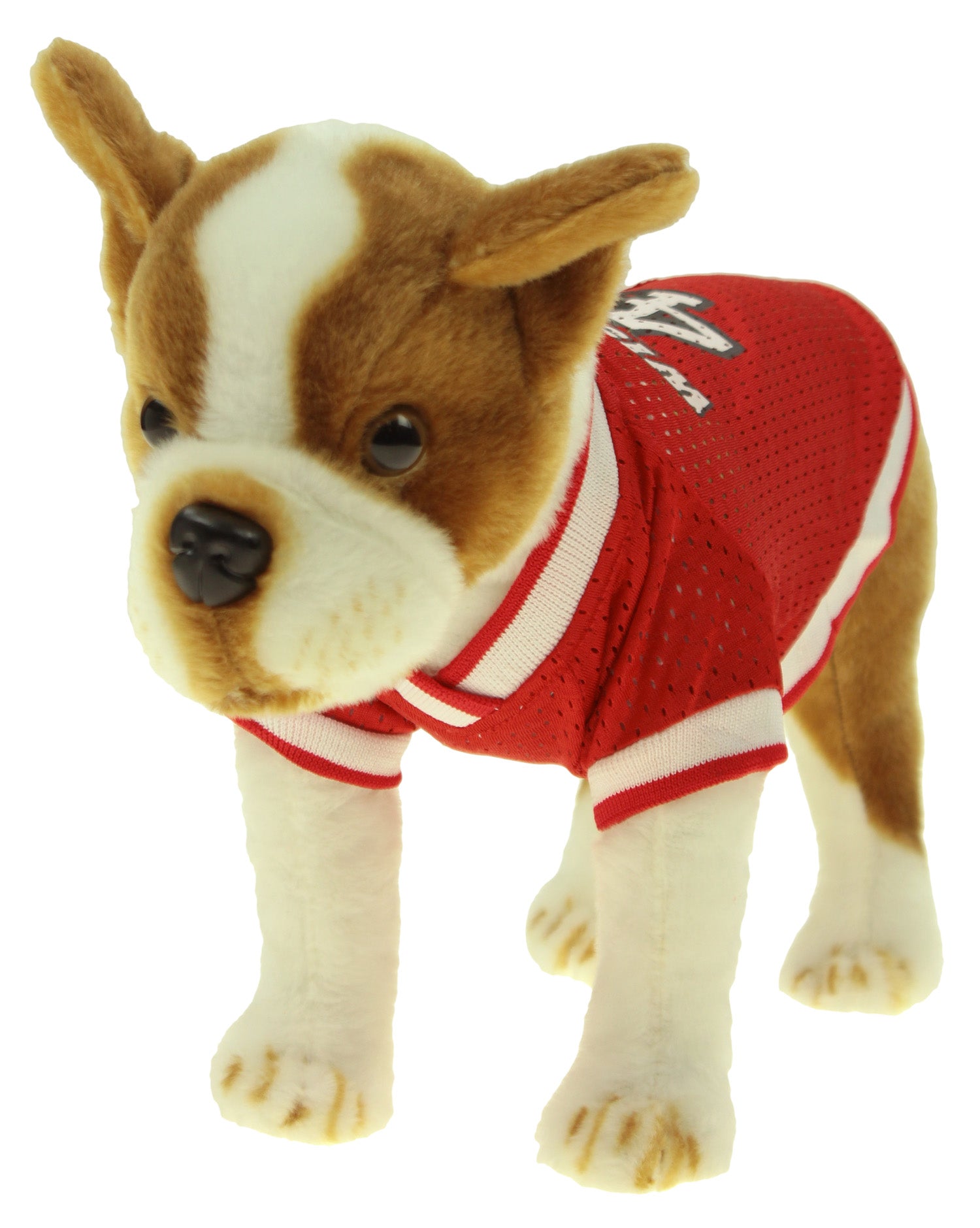 wisconsin badgers dog jersey