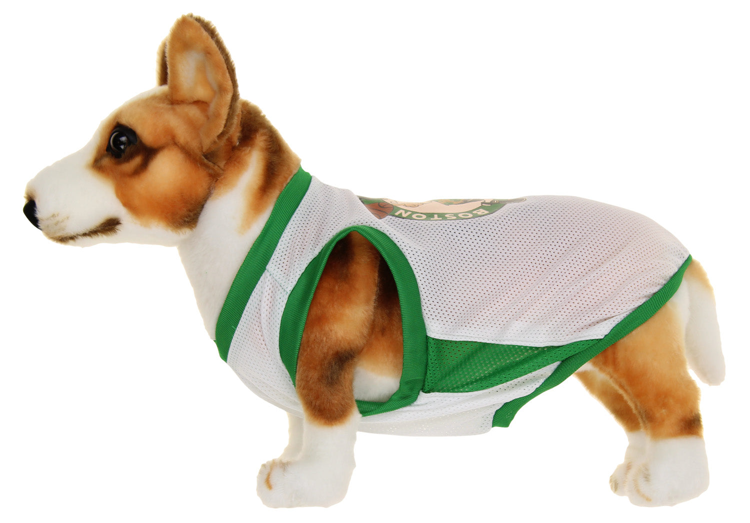 celtics dog jersey