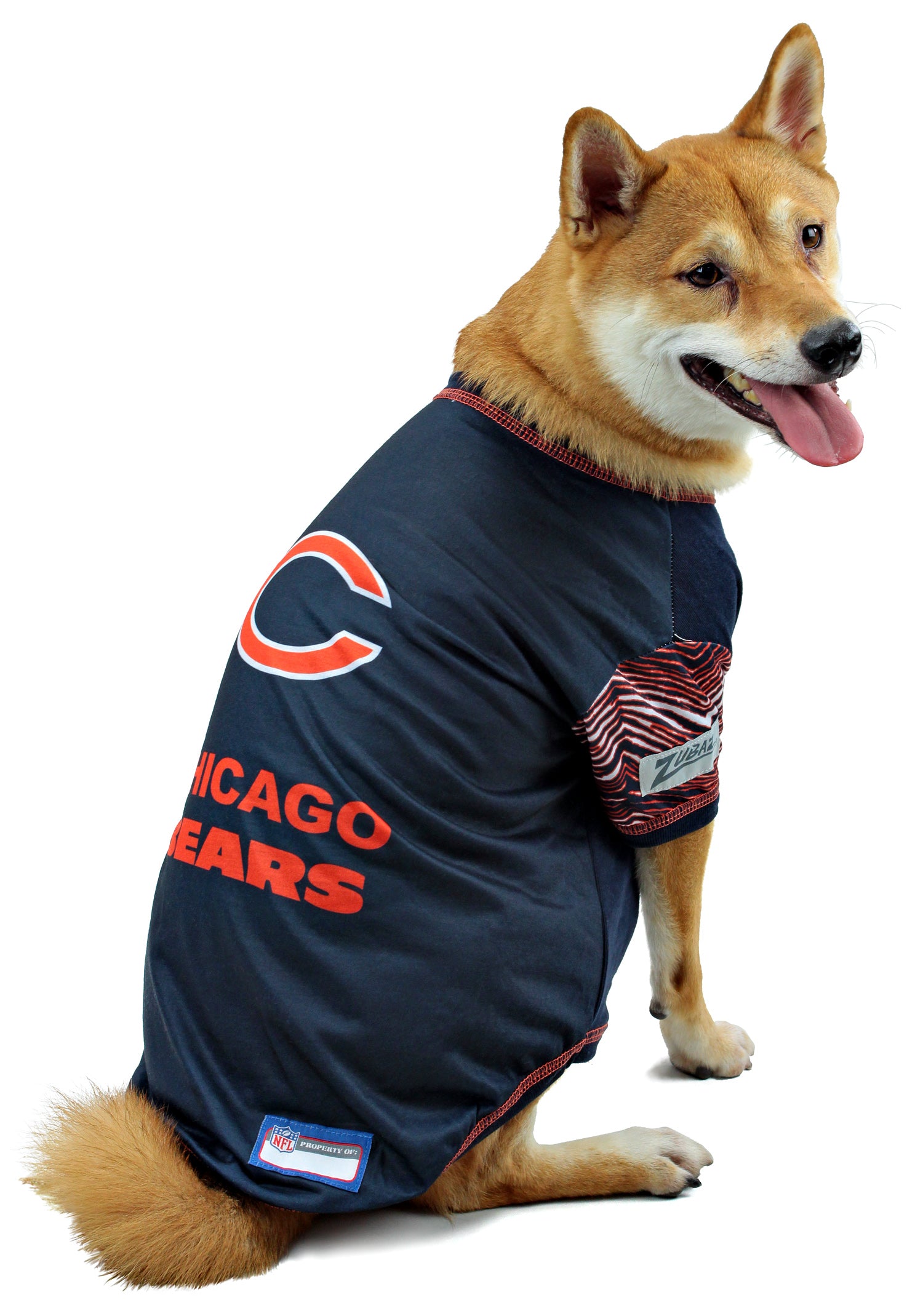 Chicago Bears? Awesome. Dogs? Super cute. Dogs in Chicago Bears